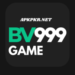 BV 999 Game